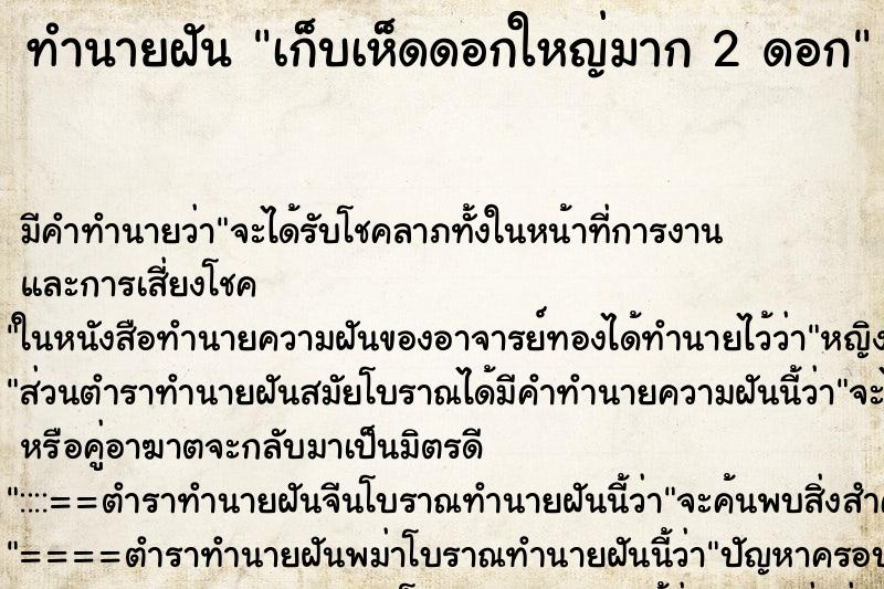 ทำนายฝันเก็บเห็ดดอกใหญ่มาก2ดอก ทำนายฝันทำนายฝันเก็บเห็ดดอกใหญ่มาก2ดอก